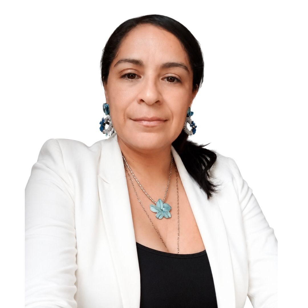 diseño de proyectos arquitectónicos en san pedro sula arquitecta claudia urbina