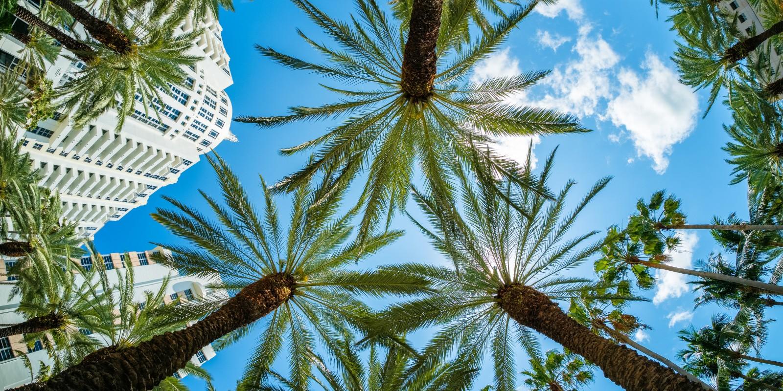10 beneficios para inversionistas extranjeros en Miami