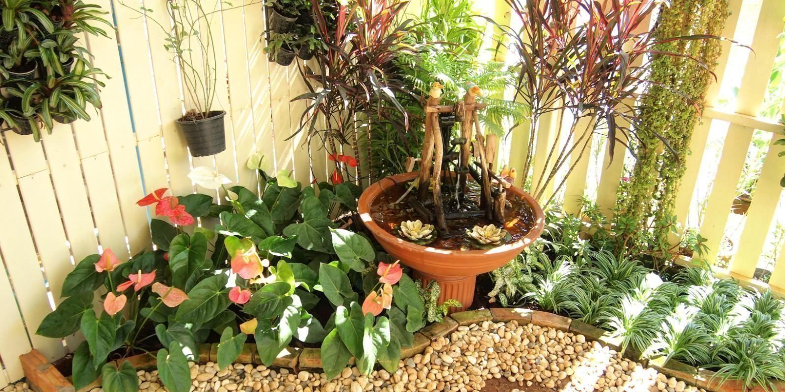 10 Consejos para tener un lindo jardín en San Pedro Sula